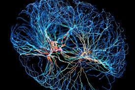 Neuroplasticité et Thérapie par miroir